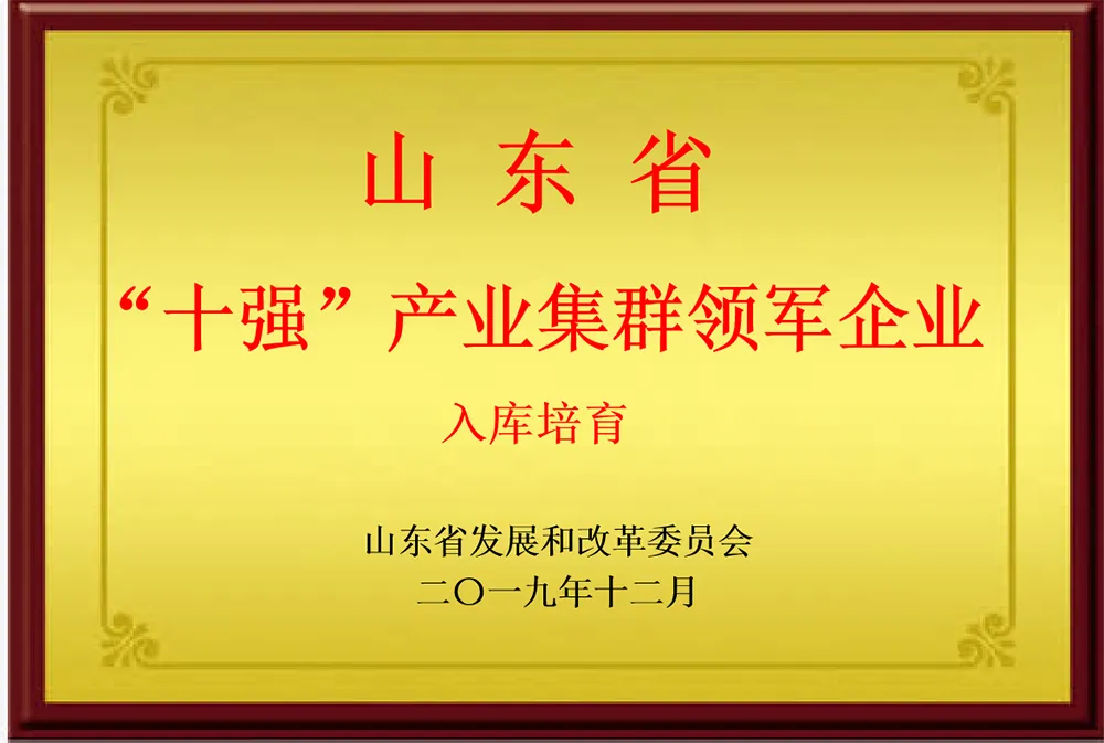 Leading Enterprise of Shandong Top 10 Industrial Clusters